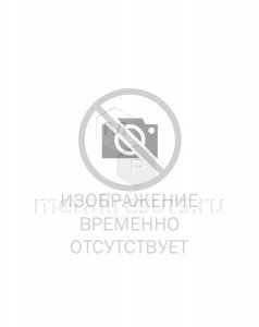 Профнастил МП20 окрашенный 0,45Э экостил  в Сургуте